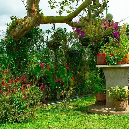 Finca El Topacio Circasia-Quindio Exterior photo