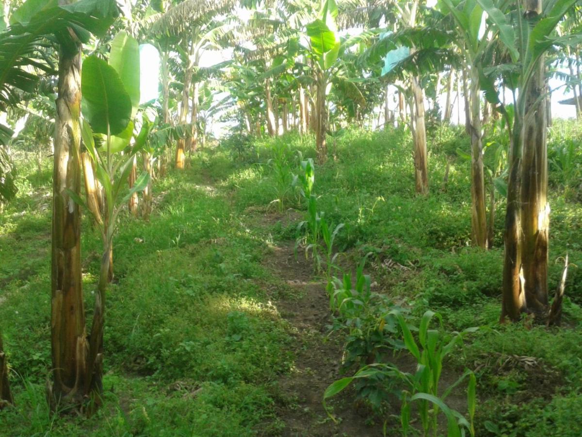 El Topacio Circasia-quindio Holiday home