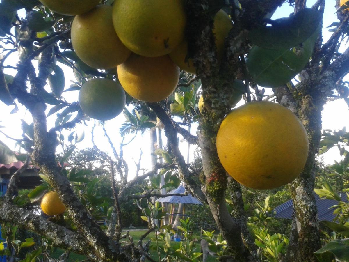 El Topacio Circasia-quindio